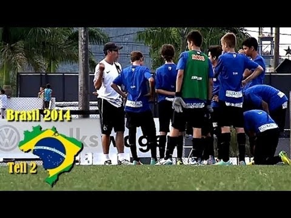 WM 2014 - Brasilien hat viel Nachwuchs