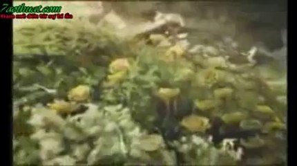 CHO THUÊ ÁO CỬ NHÂN, VEST NAM HÀN QUỐC - 0973 406 815