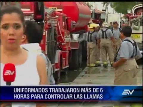 Se logró apagar el incendio forestal en el Cerro Colorado