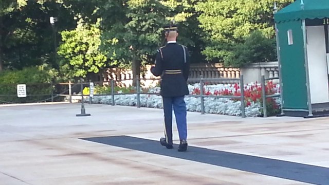 Tomb Guard Sentinel at the Tomb of the Unknown Soldier