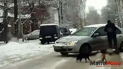 İzlenme Rekoru Kıran Kedi Kavgası