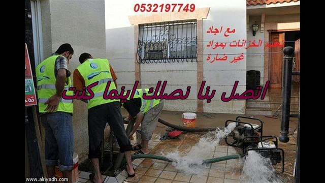 شركة مكافحة حشرات بالمدينة المنورة0532197749