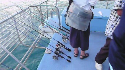 repas dans la baie d'Ishigaki-jima
