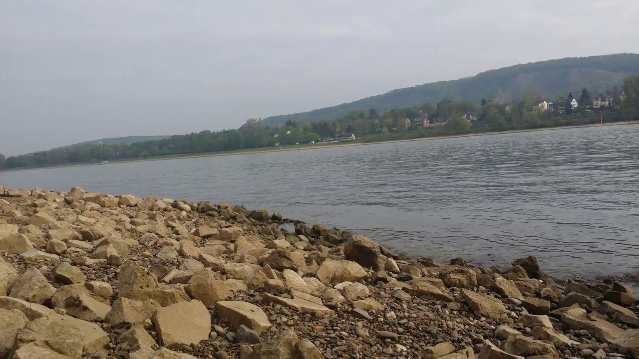 Ein kleiner Moment am Rhein 2