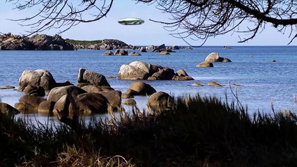 7 - Dios y el Caballo