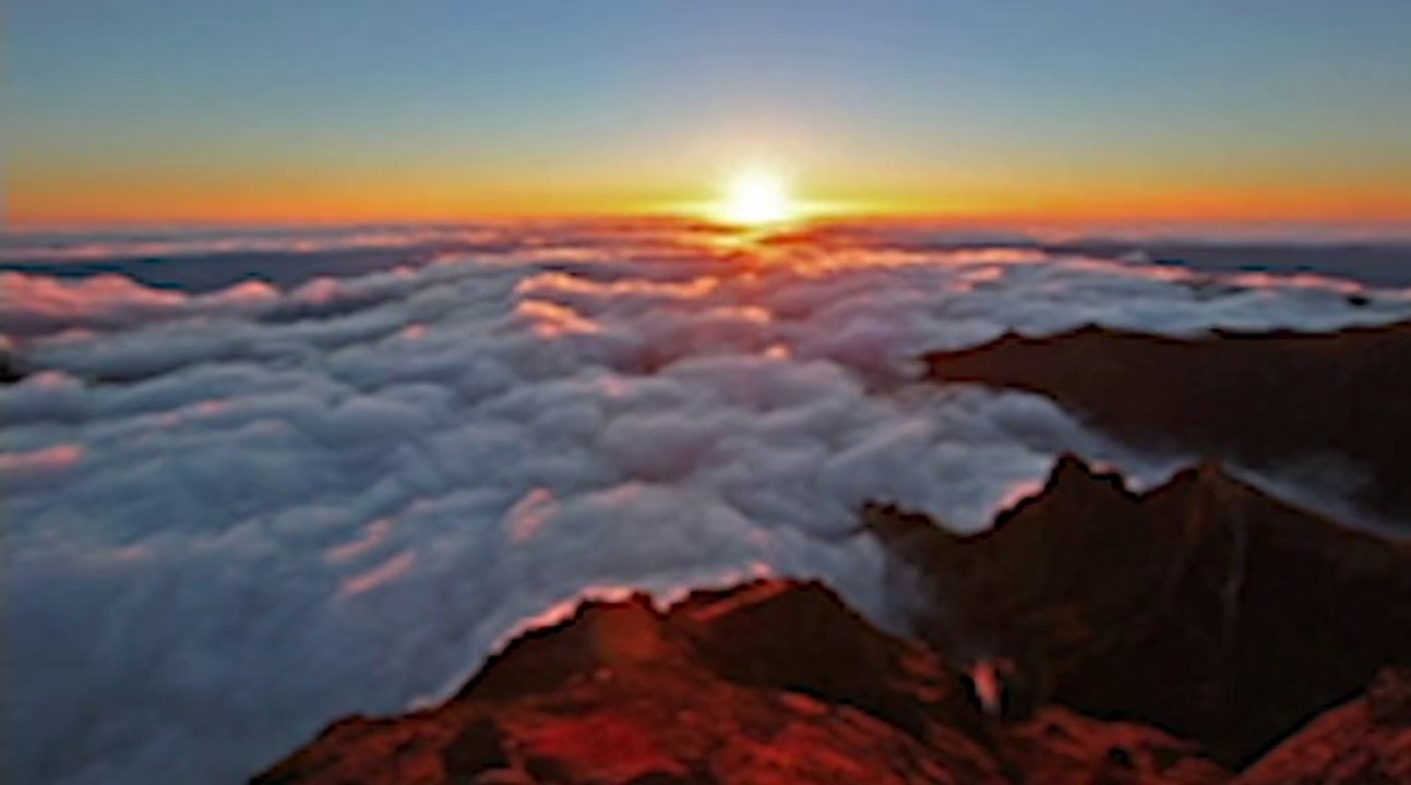 Ich flieg - Juel Williams