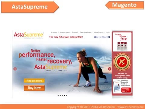 Affordable Ecommerce Website Development Services | Evince Development