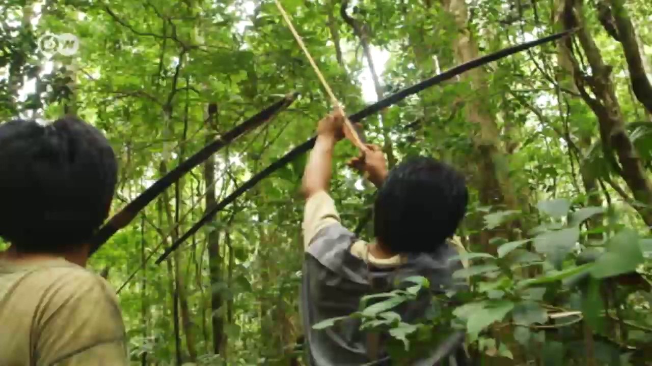 Perus Naturschutz vor Herausforderungen | Global Ideas