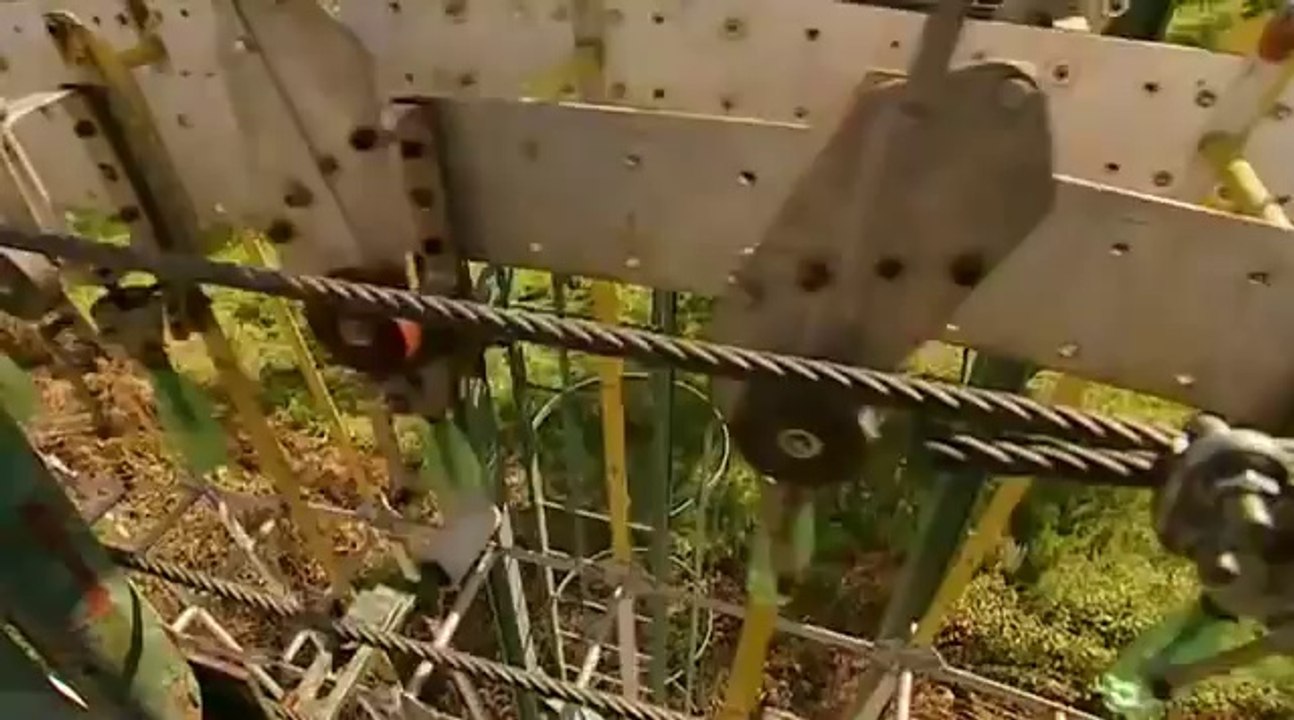 Free Energy  machine