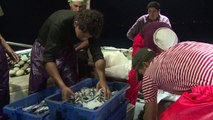 Pêcheur à Gaza, un métier à hauts risques pour un maigre salaire