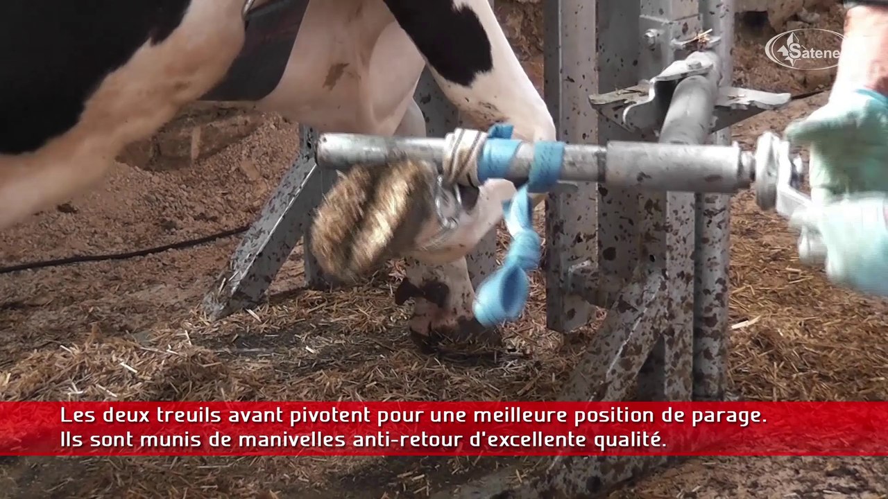 Parage bovin : cage CCP 3000 Satene