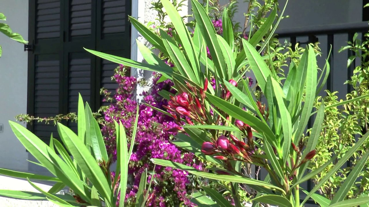 Un jardin extraordinaire, Charles Trenet