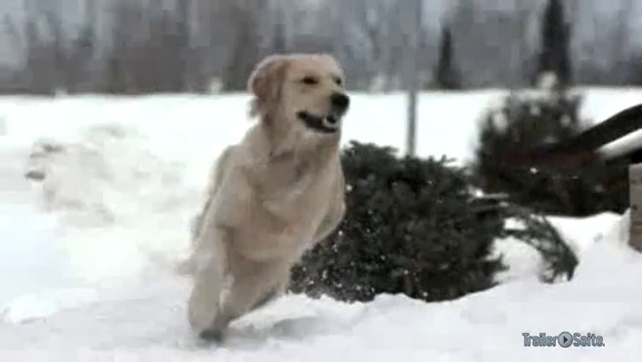 Ein Hund Im Winter Trailer (deutsch)