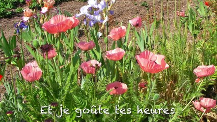 LE LAVOIR 2-Large