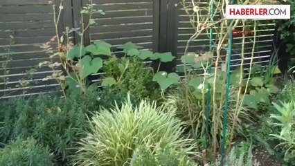 24 Yıl Sonra Eğitimine Kaldığı Yerden Başlama Kararı Aldı