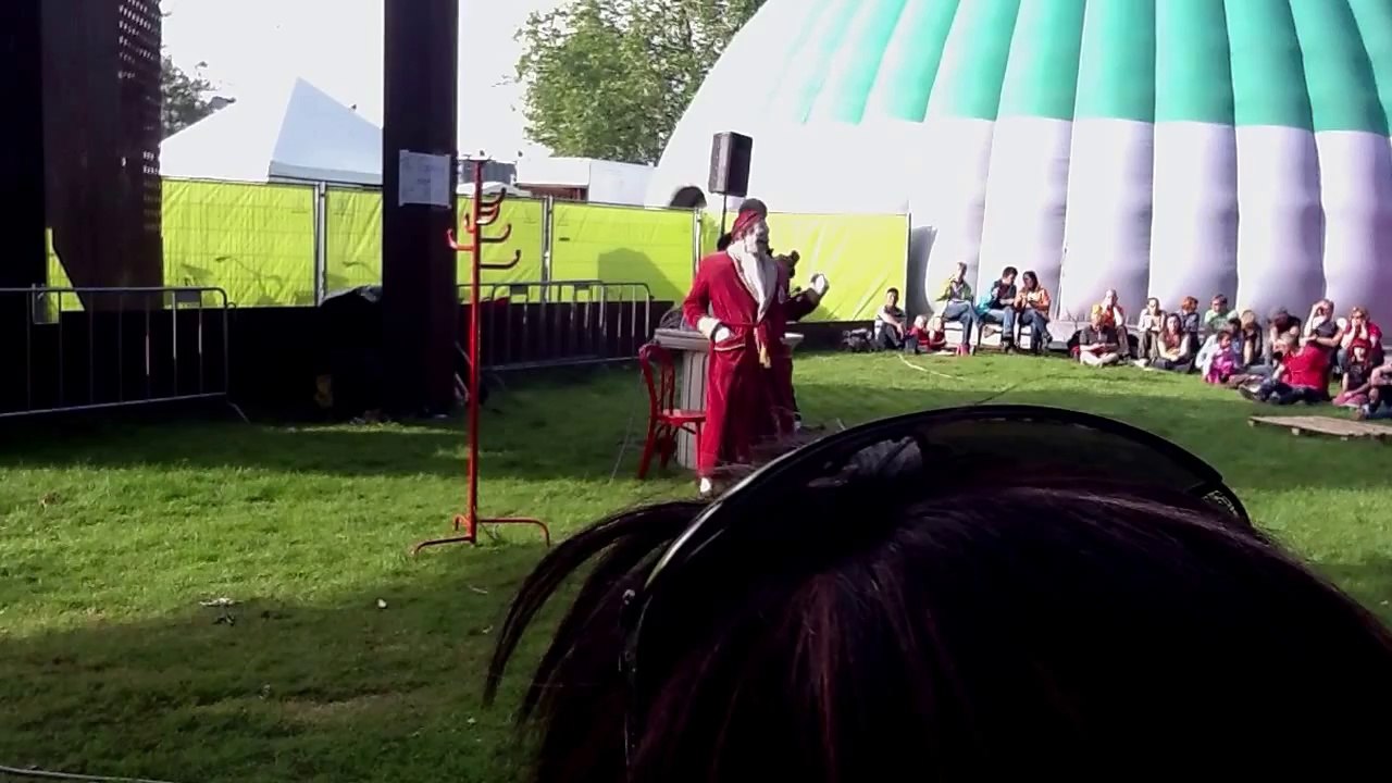 Festival Mundial 2012 (4)