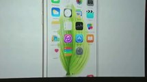 Apple CEO Tim Cook These are iPhone 6 and iPhone 6 Plus, the best iPhones weve ever done - YouTube