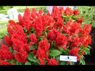 Circuit des Cathédrales