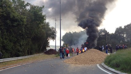 Fin de la manifestation des légumiers