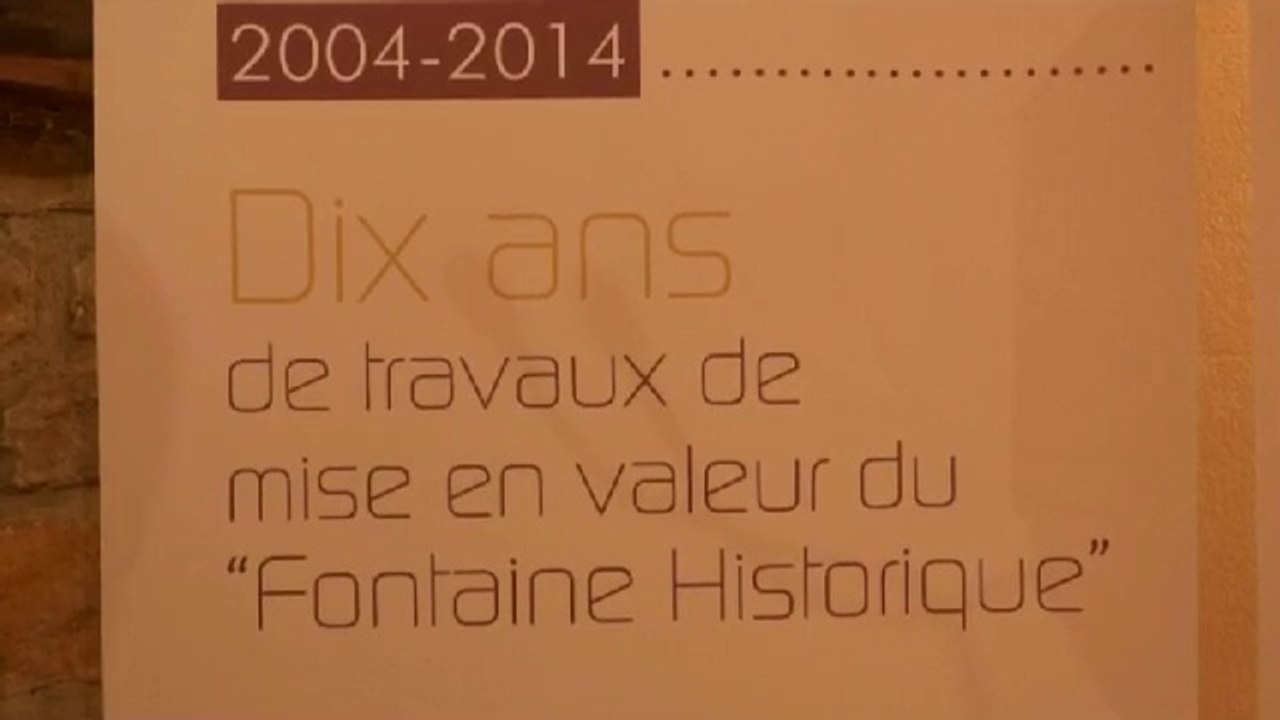 10 ans de Travaux FONTAINE LES DIJON