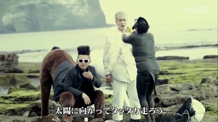 노라조 (NORAZO) -야생마[野生馬]