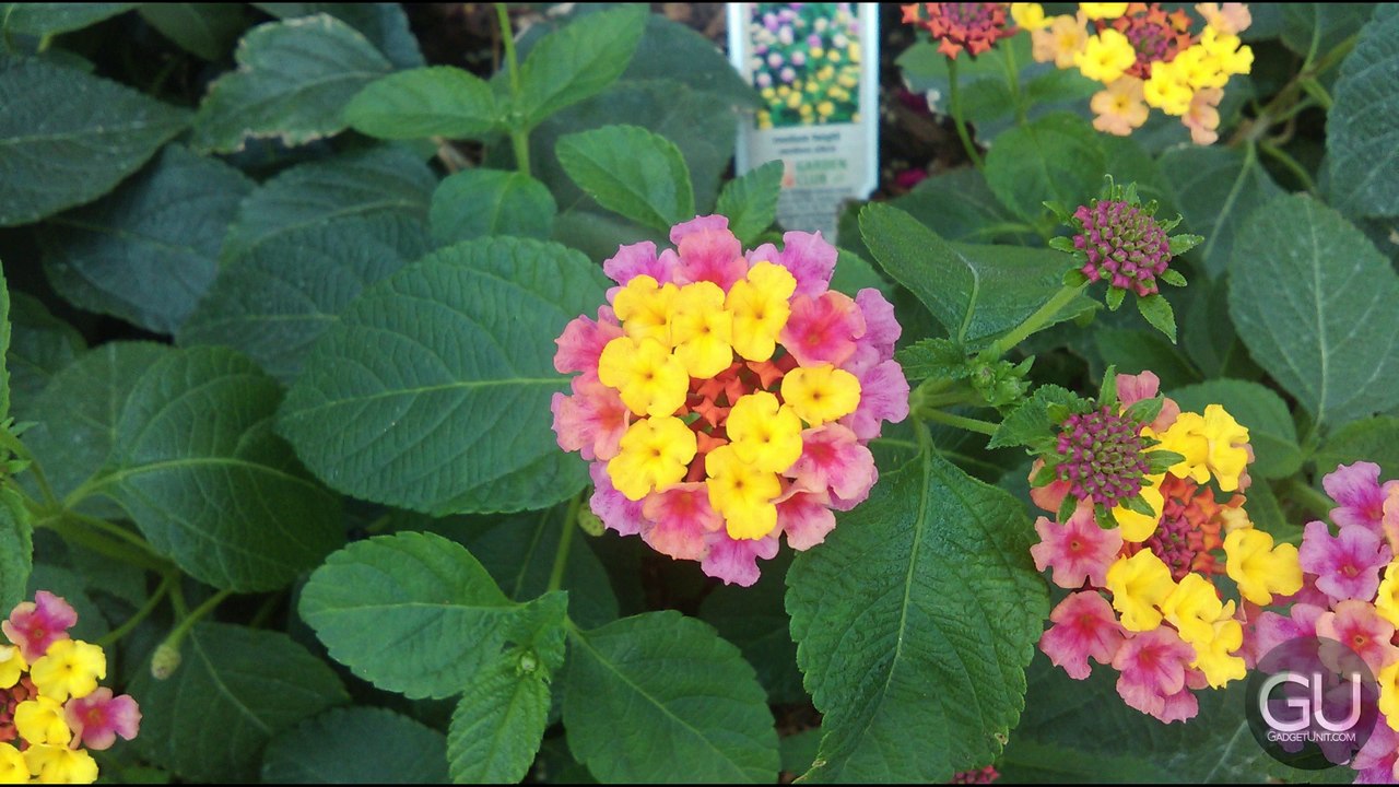 [Mini Review] HTC Desire 610 (AT&T)