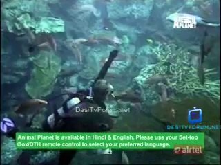 The Most Extreme (Season 5) 24th September 2014 Video Watch Pt3