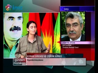 Zübeyir Aydar: Kobani'deki saldırılar Türkiye'den habersiz değildir