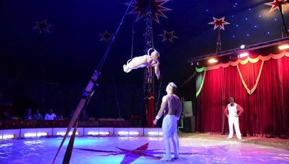 Olympic Rings by Thomas & Mike Scholl