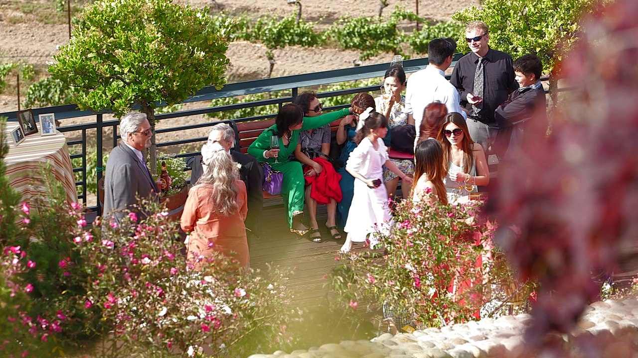 Steve & Anh Wedding Highlights