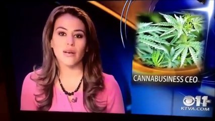 Une présentatrice télé avoue en direct tenir un club de Cannabis et quitte le plateau