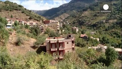 Олланд: наш ответ террористам должен быть глобальным