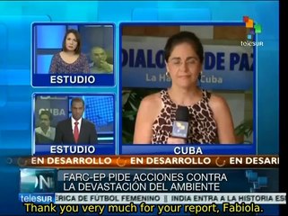 FARC wants peace process to go beyond rhetoric