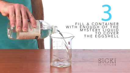 How to Make a Folding Egg - Sick Science! #121