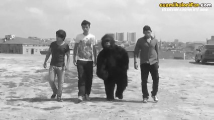 Mc King Kong - Dağınık Crew