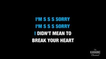Heartbreaker in the Style of _will.i.am_ with lyrics (no lead vocal) karaoke video
