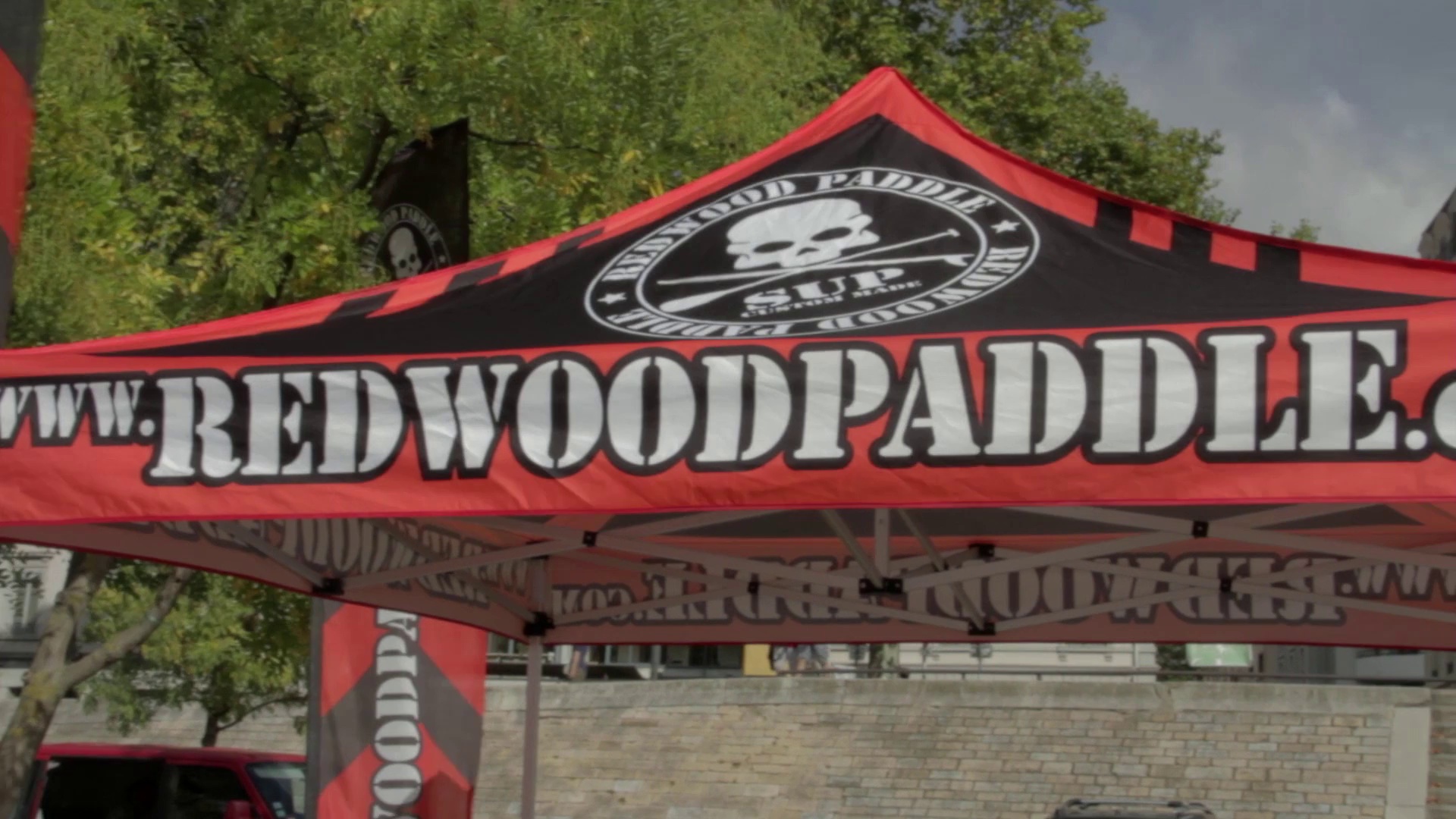 Redwood in the city...