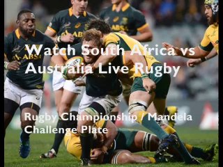 Rugby Match South Africa vs Australias