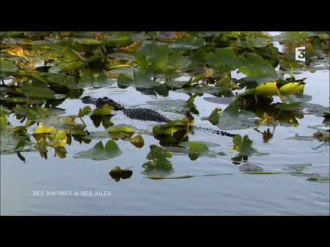 Parcs nationaux americains