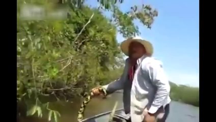Brazilian Men Find Giant Snake In River watch video