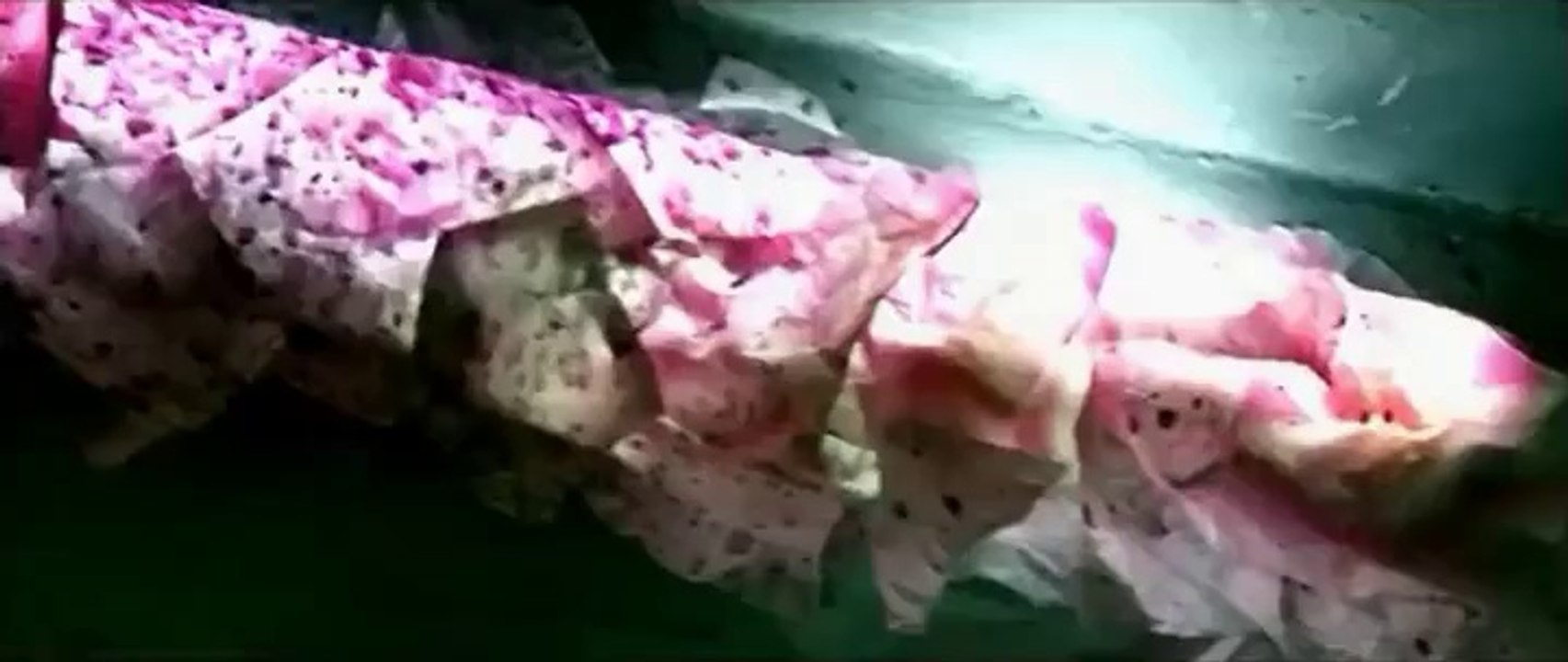 Callejon - Kinder der Nacht