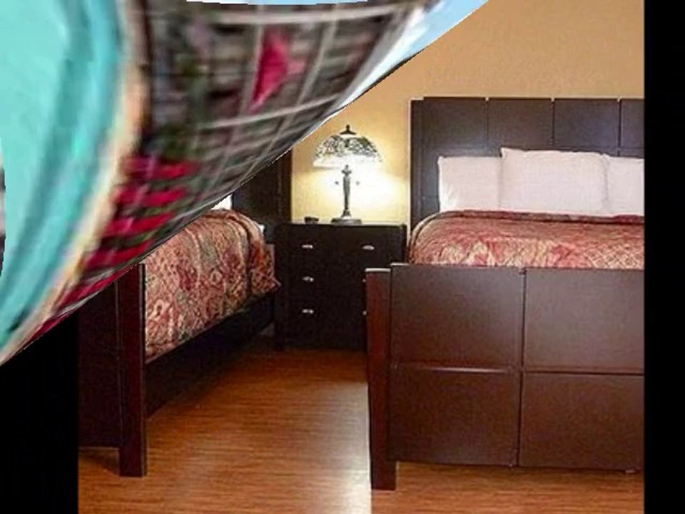 Hotel Near Raymond James Stadium