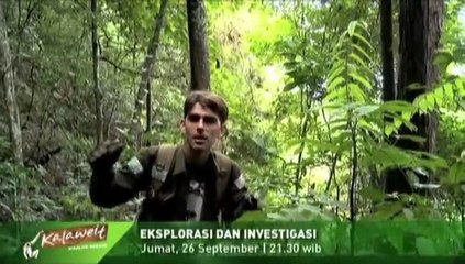 Promo Episode 7 "Kalaweit Wildlife Rescue"