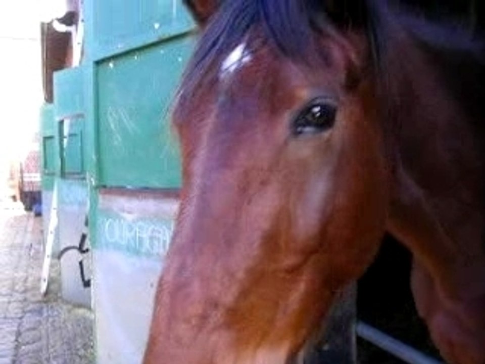 Ouragan regard Lupin
