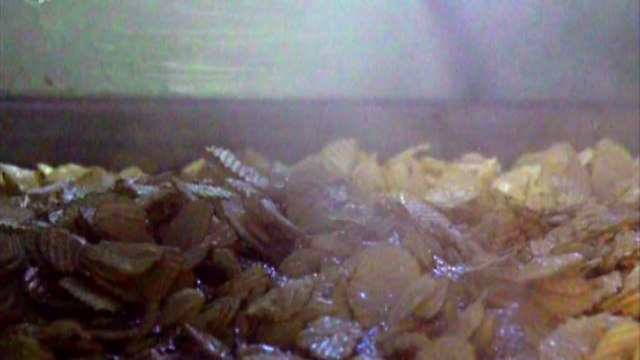 Patatas fritas onduladas