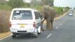 Begging Elephants Halt Traffic in Sri Lanka