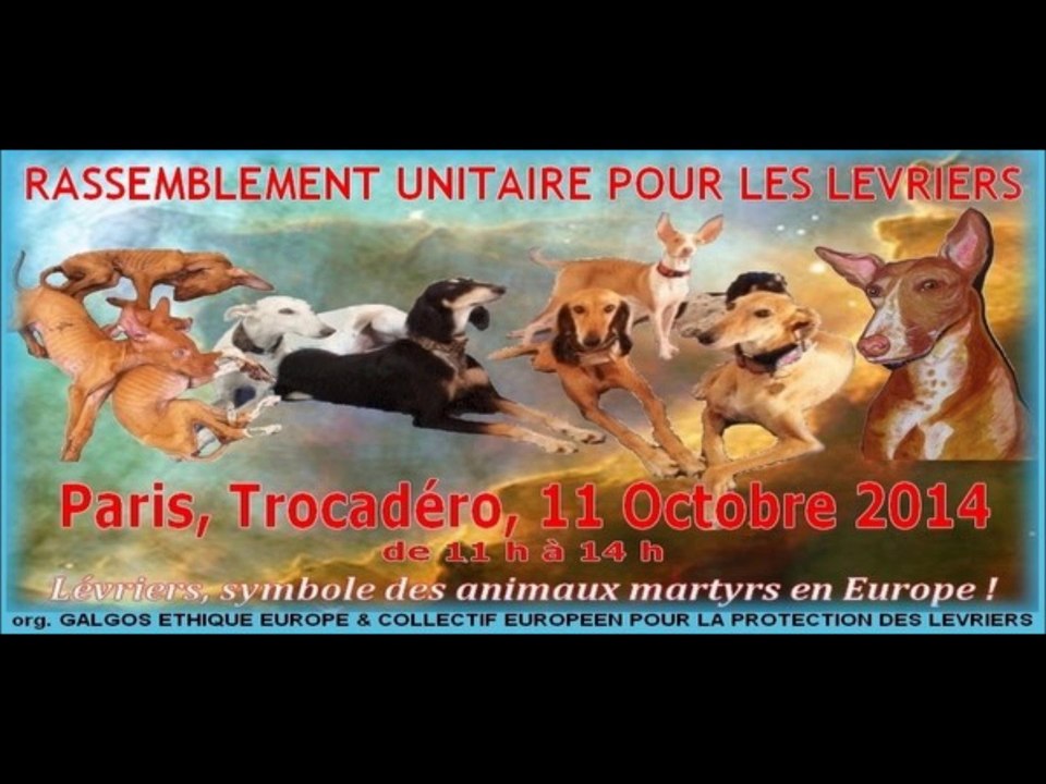 galgos-112-esperanza-septembre-2014