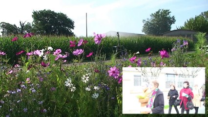 Fête des Semailles à St Vincent de Lamontjoie