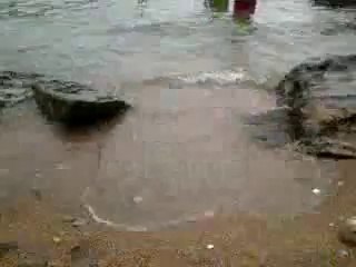 kacem a la petite plage