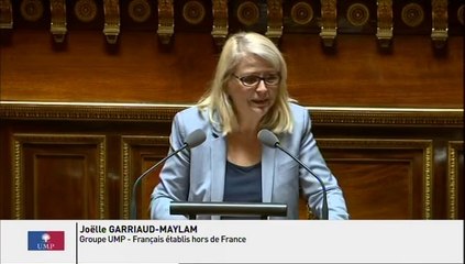 Engagement des forces armées en Irak : "Le traitement du problème ne saurait se résumer à la communication, ni à l'action militaire"